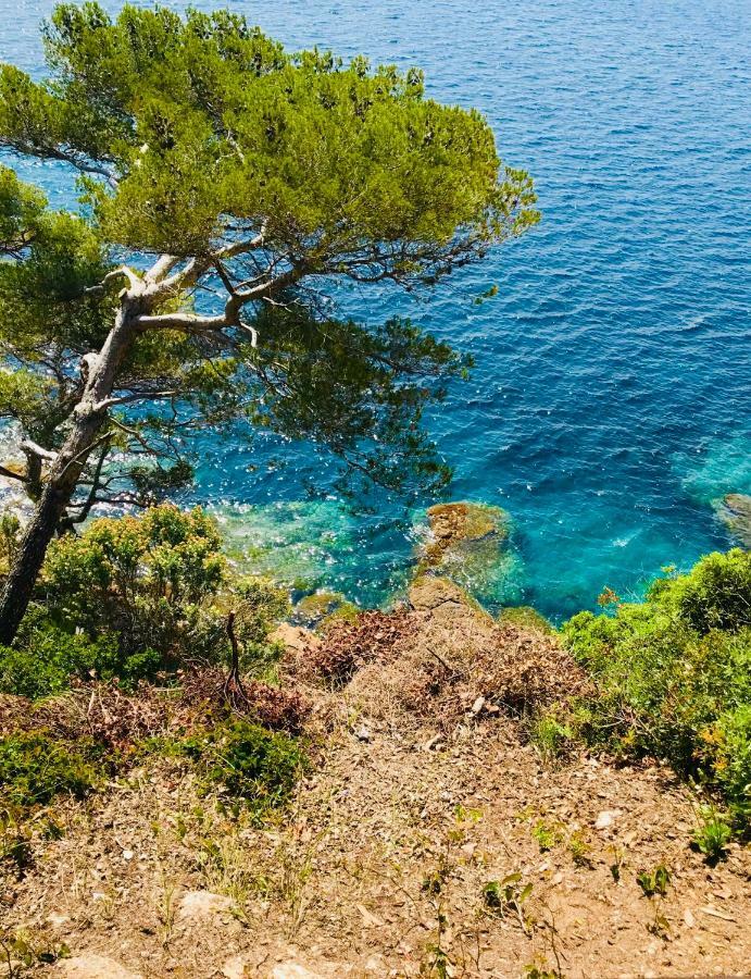 Апартаменты Mazet « Domaine De La Pinede » Ле-Лаванду Экстерьер фото